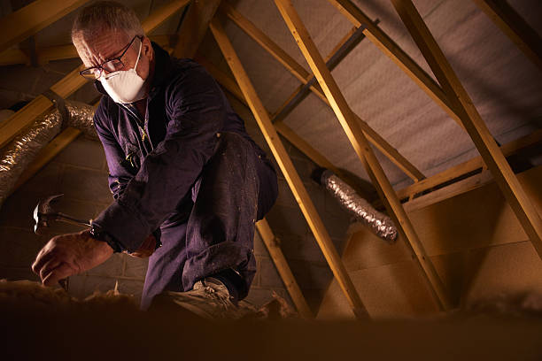 Best Insulation Installation Services in Audubon Park, NJ
